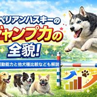 画像424
