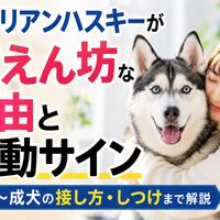 画像444