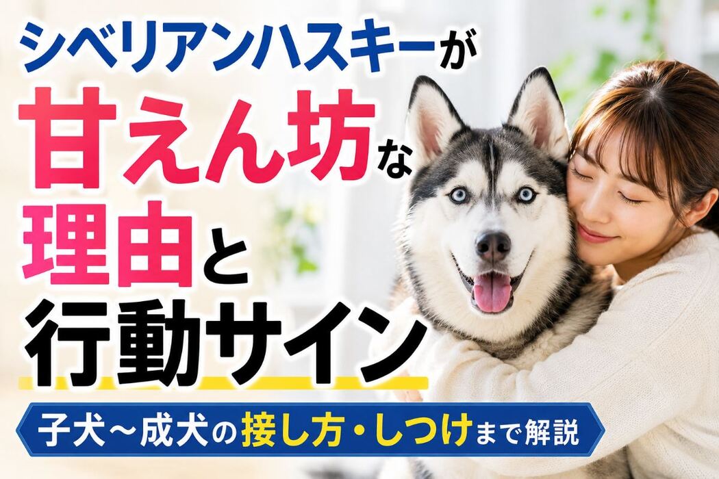 画像444