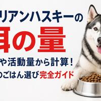 画像451