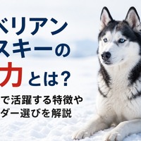 画像453