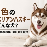 画像457