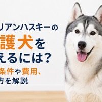 画像459