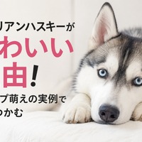 画像461