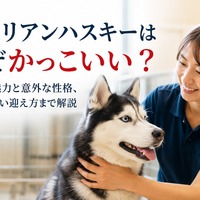 画像473