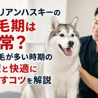 画像489