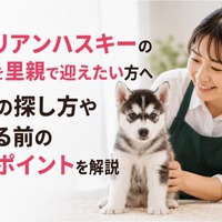 画像503