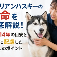 画像517