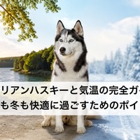 画像533