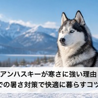画像547