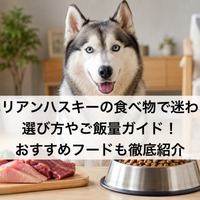 画像563
