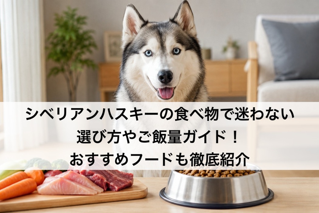画像563