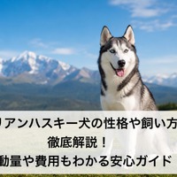 画像595