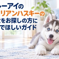 画像664