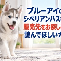 画像674