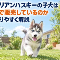画像686