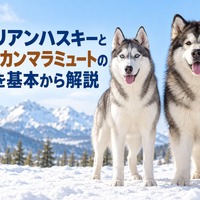 画像698